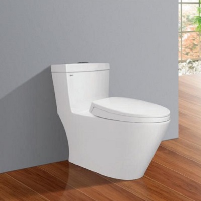 bon-cau-ket-lien-V62-1 BỒN CẦU 1 KHỐI VIGLACERA V62